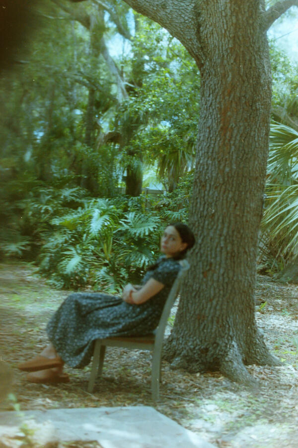 Under a tree